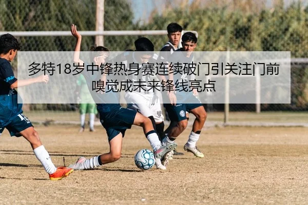 多特18岁中锋热身赛连续破门引关注门前嗅觉成未来锋线亮点